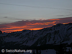 F009505: Morgenstimmung mit glühenden Wolken über dem Brienzergrat