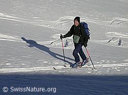 F009707: Skitourenläuferin