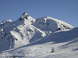 F009738: Schinhorn und Gruppe Skitourenfahrer