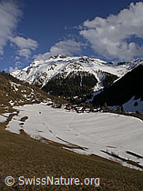 F009811: Imfeld und Schinhörner