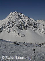 F009827: Hotäl: Verschneites Stockhorn