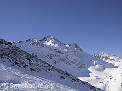 F009831: Hotäl: Schwarzhorn und Fleschhorn