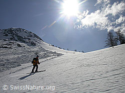 F010154: Skitourenfahrer bei der Abfahrt