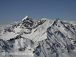 F010197: Monte Roasa, Scherbadung, Schwarzhorn, Mischabel