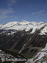 F010239: Binntal, Eggerhorn, Berner Alpen