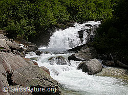 F010914: Sonnenbeschienener Wasserfall, Binntal
