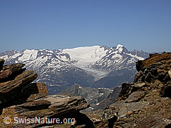 F012588: Turbhorn: Rhonegletscher, Dammastock und Galenstock