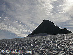F013167: Rappegletscher und Ober Rappehorn mit Wolkenstimmung