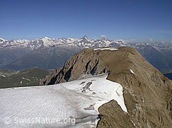 F013189: Rappegletscher, Rappehorn und Berner Alpen