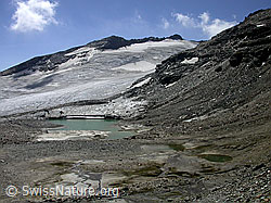 F014058: Fanellgletscher mit Gletschersee