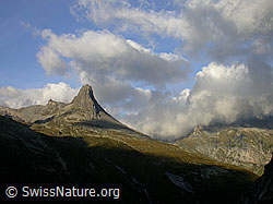 F014394: Zervreilahorn mit Morgenstimmung und Wolken