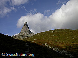 F014446: Zervreilahorn und Herbstlandschaft