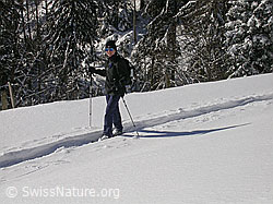 F018159: Schneeschuhläuferin