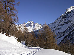 F018427: Winterwanderweg bei Eggerebode, Binntal