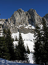 F021595: Felstürme am Seehore