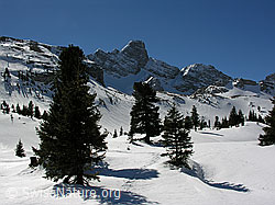 F021723: Winterlandschaft mit lichtem Bergwald