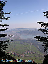 F021812: Simmeflue: Reutigen, Thun und Thunersee
