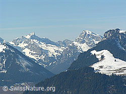 F021822: Diemtigtal