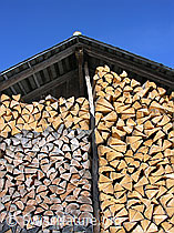 F021846: Aufgeschichtetes Brennholz