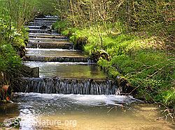 F022051: Sanft verbauter Bach