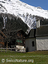 F022324: Haus und Kapelle, davor Wiese mit Krokus