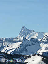 F022809: Finsteraarhorn