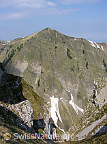 F023151: Burst, Berner Voralpen