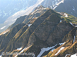 F023292: Türmlihorn vom Rauflihorn