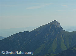 F023318: Wiriehorn vom Rauflihorn