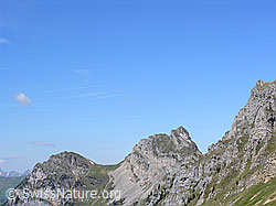 F023378: Mieschflue, Chörbelihore und Rothorn vom Grimmi Furggi