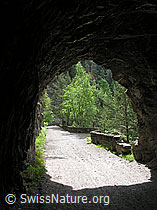 F023715: Tunnel, Twingischlucht