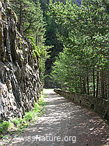 F023748: Twingischlucht, Binntal