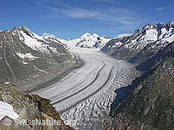 F023942: Eggishorn: Aletchgletscher