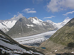F023978: Märjelesee und Aletschgletscher