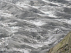 F024038: Seilschaft auf Aletschgletscher