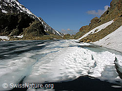 F024183: Züesee, Binntal