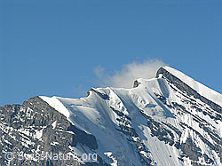F024391: Doldenhorn