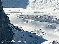 F024407: Alpinisten unterwegs auf dem Blüemlisalpgletscher