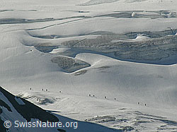 F024409: Seilschaften mit Alpinisten auf dem Blüemlisalpgletscher