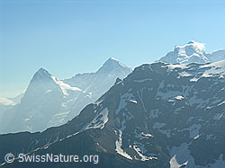 F024426: Eiger, Mönch, Jungfrau, Vorderi Bütlasse