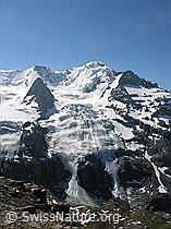 F024473: Blüemlisalphorn und Wyssi Frau