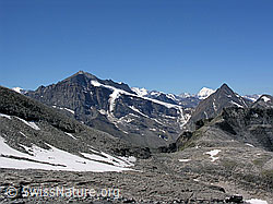 F025790: Helsegletscher: Ritterpass, Monte Leone, Bortelhorn
