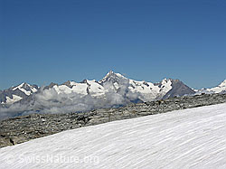F025803: Helsegletscher, Binntal und Berner Alpen