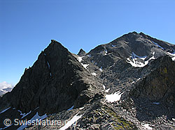 F025921: Halbelfjoch: Fleschhorn und Punta Gerla