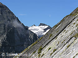 F025949: Halbelfjoch: Hillehorn