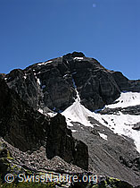 F025960: Halbelfjoch: Scherbadung und Wannigletscher
