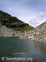F026032: Fleschsee