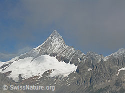 F026209: Risihorn, Bellwald: Finsteraarhorn