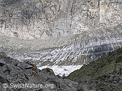 F026219: Risihorn: Querspalten auf dem Fieschergletscher