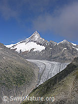 F026233: Finsteraarhorn und Finsteraarrothorn